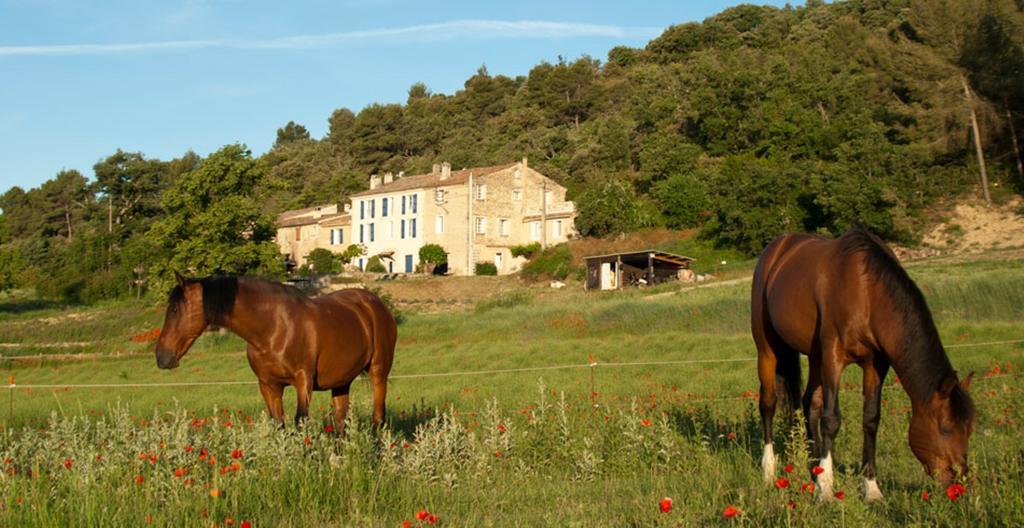 Bed and Breakfast Domaine De Bertrandy Альмань-ан-Прованс Экстерьер фото